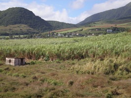 St Kitts Train Ride12